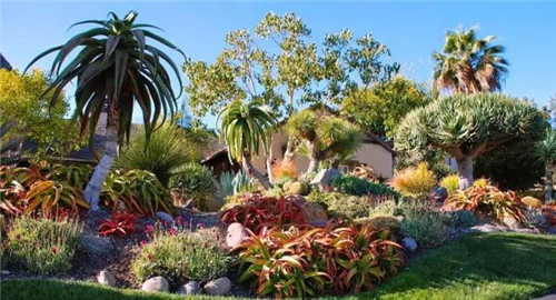 精美絕倫的多肉植物園林景觀美不勝收！