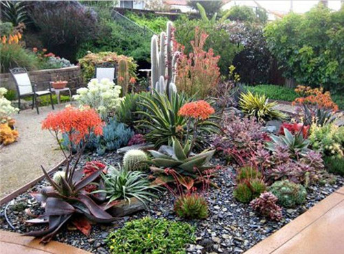 精美絕倫的多肉植物園林景觀美不勝收！