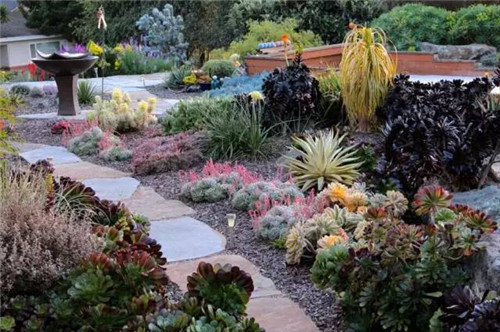 精美絕倫的多肉植物園林景觀美不勝收！