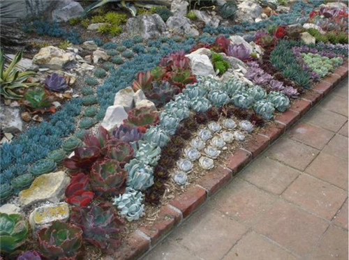 精美絕倫的多肉植物園林景觀美不勝收!