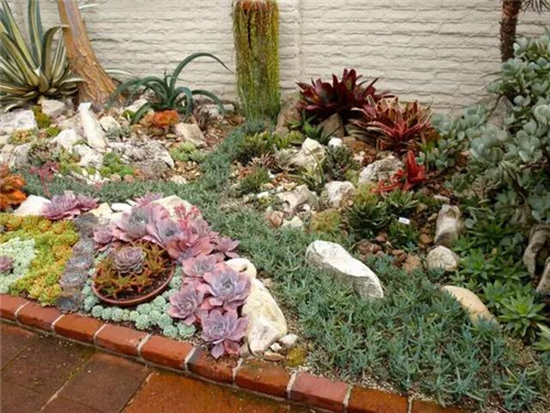 精美絕倫的多肉植物園林景觀美不勝收!