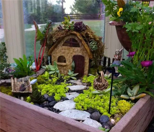 精美絕倫的多肉植物園林景觀美不勝收!