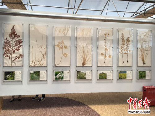 蒙草生態(tài)：數(shù)據(jù)化、科技化發(fā)展無處不在