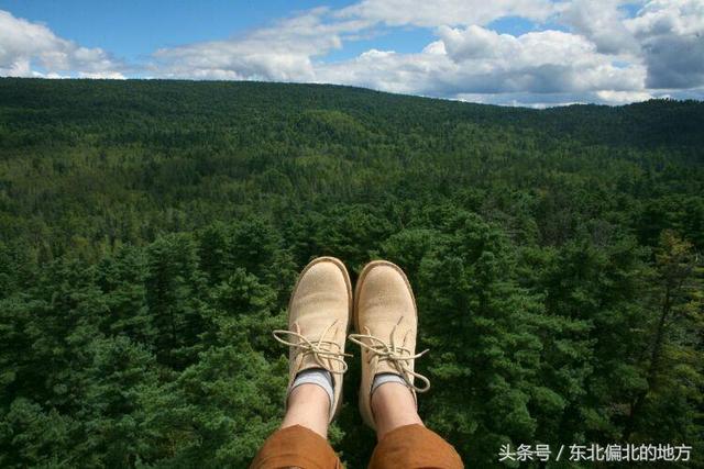 紅松的集中自然保護區(qū)——五營森林公園