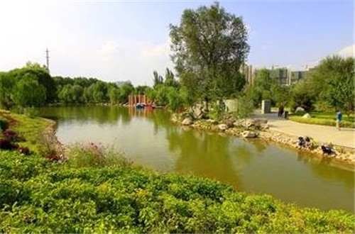 青海最美森林公園