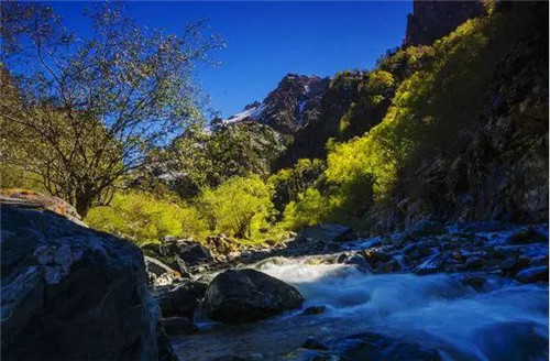 青海最美森林公園