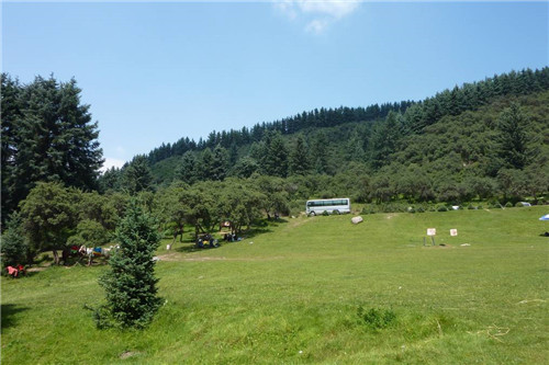 青海最美森林公園