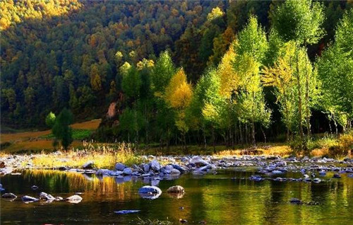 青海最美森林公園