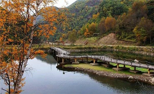 青海最美森林公園