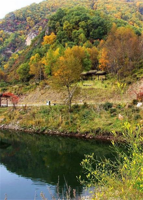 青海最美森林公園