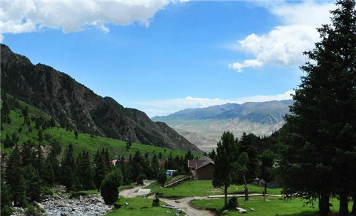 青海最美森林公園