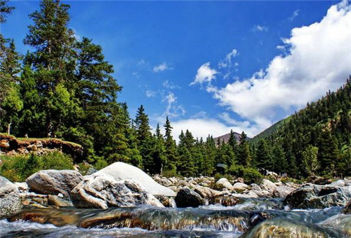 青海最美森林公園