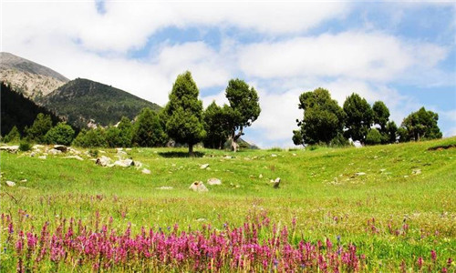 青海最美森林公園