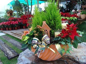 組合盆栽DIY 打造私家小花園