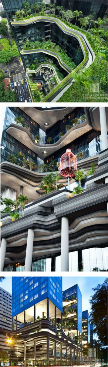 全球經(jīng)典的立體綠化案例