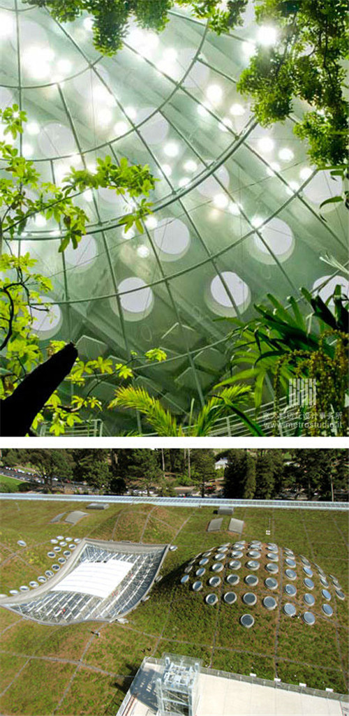 全球經(jīng)典的立體綠化案例