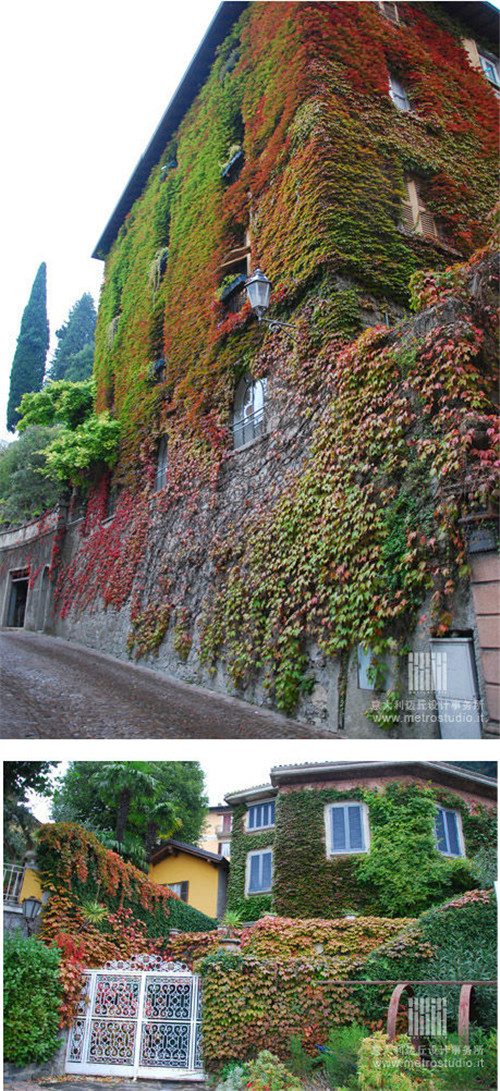 全球經典的立體綠化案例