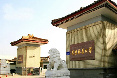 南林大文理科最高分均錄取在風景園林專業