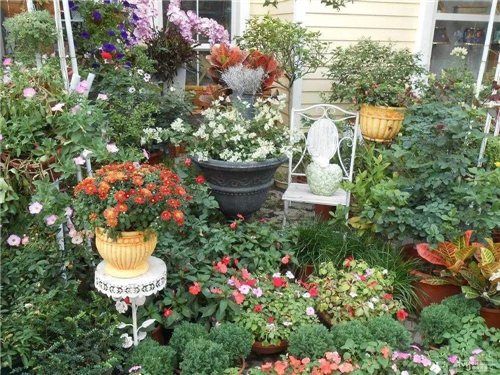 花卉特色小鎮：形成產業鏈尤為重要