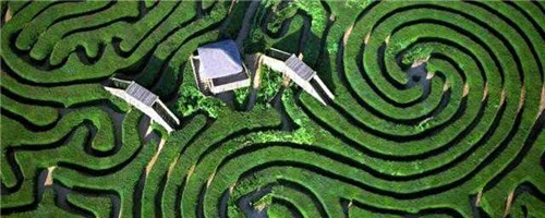 迷宮制造者腦子里在想什么？