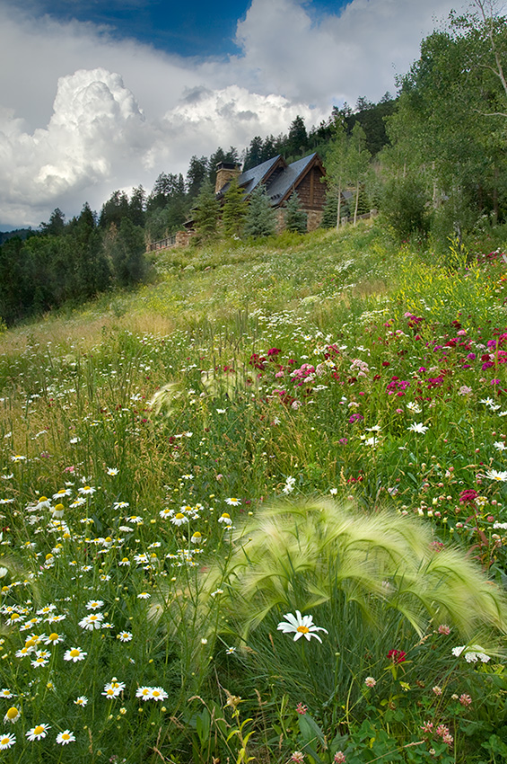 美國科羅拉多州木溪花園