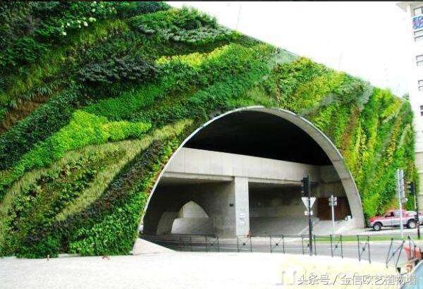 為什么要大力推行城市建設立體綠化