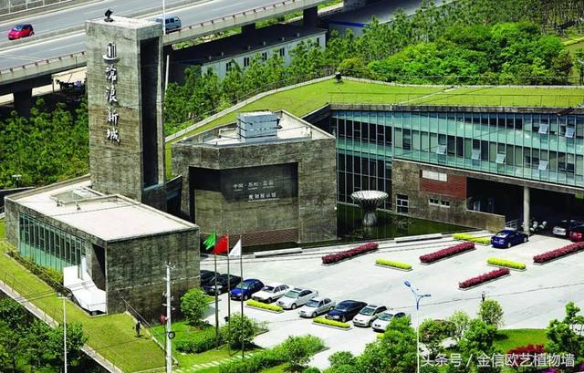 為什么要大力推行城市建設立體綠化