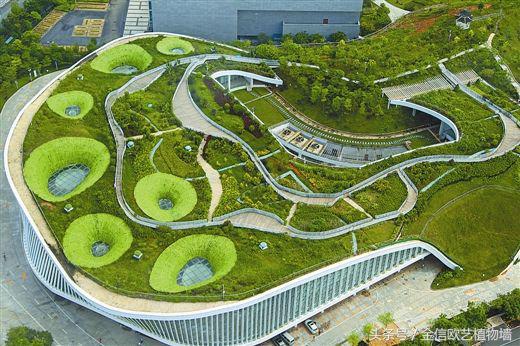 為什么要大力推行城市建設立體綠化