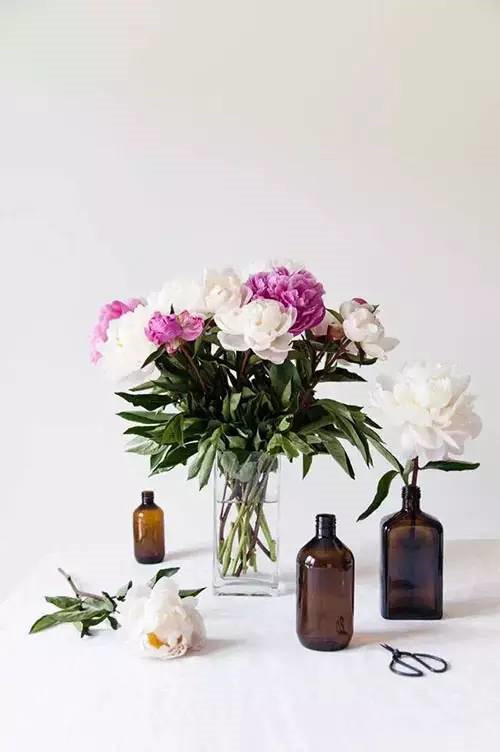 花藝、插花和花道之間的區(qū)別