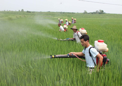 農藥的化學成分對環(huán)境有絕對的負面影響
