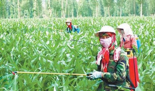 農藥的化學成分對環(huán)境有絕對的負面影響