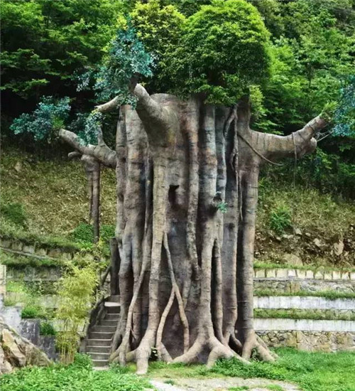 植物界的吉尼斯世界紀錄