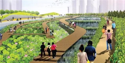 我們在設計濱水景觀時在設計什么?