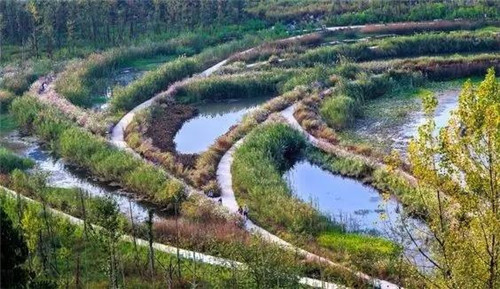 我們在設計濱水景觀時在設計什么?