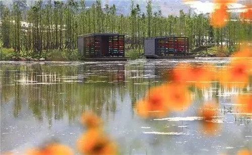 我們在設(shè)計濱水景觀時在設(shè)計什么？