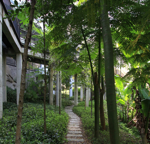 當建筑遇上自然---馬來西亞檳城南海灣Legenda公寓