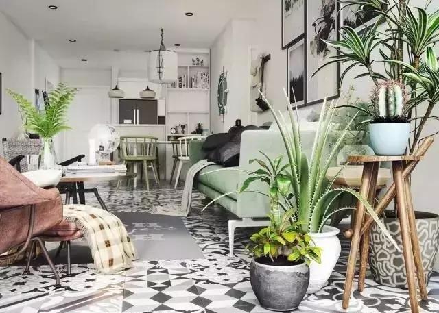 把綠色植物請進(jìn)家中