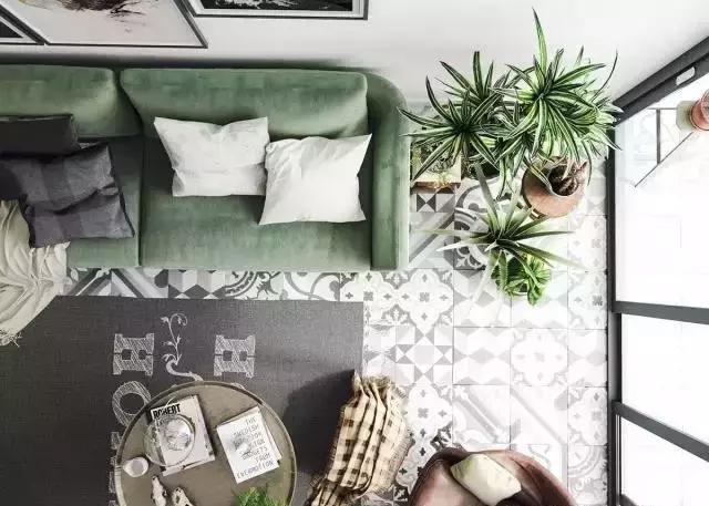 把綠色植物請進(jìn)家中