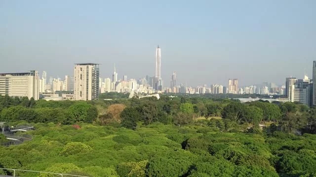 被媒體譽為深圳最美城市公園