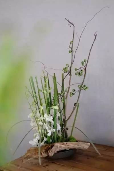 關(guān)于茶藝中用到的那些插花