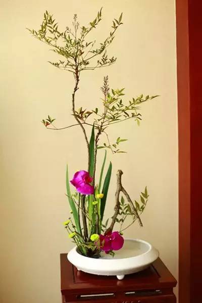 關(guān)于茶藝中用到的那些插花