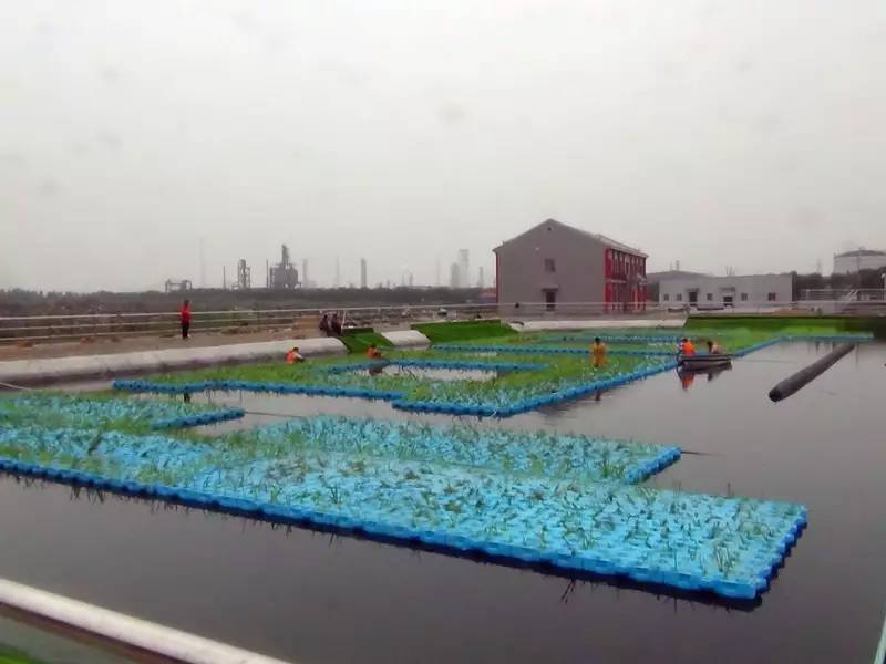 山西人都沒見識過的污水處理廠