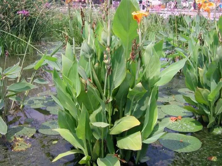 山西人都沒見識過的污水處理廠