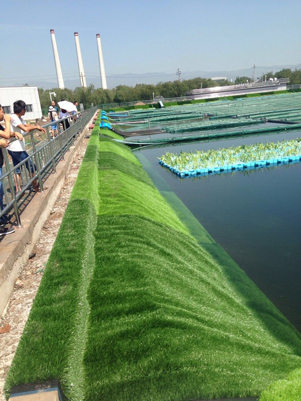 山西人都沒見識過的污水處理廠