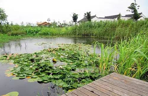 山西人都沒見識過的污水處理廠