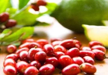 城里人從來都沒見過的，國寶級的珍貴植物