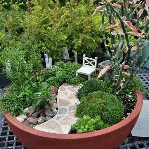 迷你微縮版花園，心都給萌化了