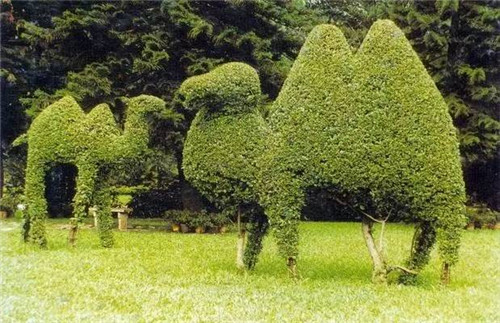 植物雕塑的城市景觀你見過嗎？