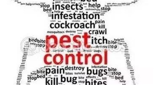 研究人員發現植物本身具有控制害蟲的能力