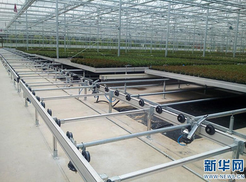 云南省花卉所:圍繞產業需求加快科技轉化